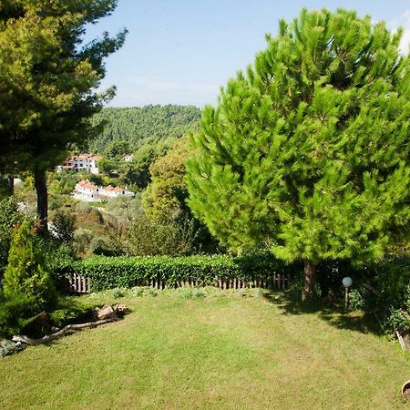 Elani Beautiful Villa Siviri Bagian luar foto