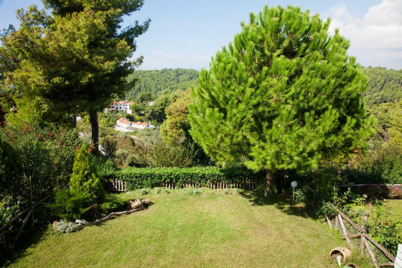 Elani Beautiful Villa Siviri Bagian luar foto