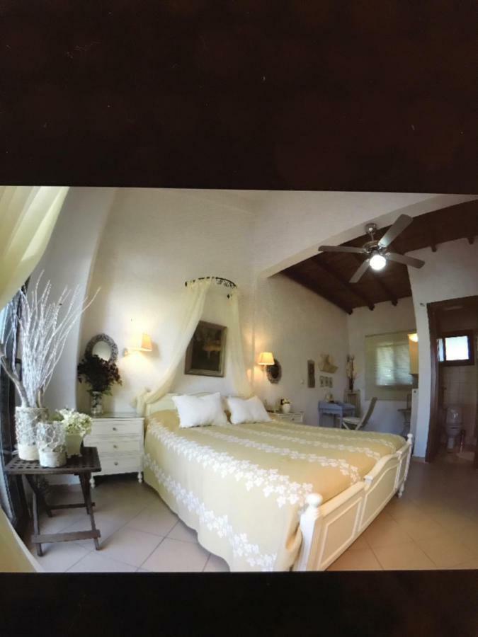 Elani Beautiful Villa Siviri Bagian luar foto